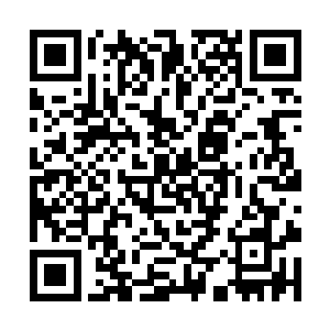 但对于战阵之道的部署却又有着极其恐怖的领悟能力二维码生成