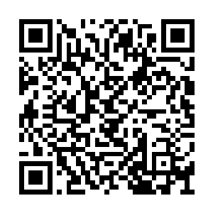 但对于楚暮这种擅长运用每一分力量的高手来说二维码生成