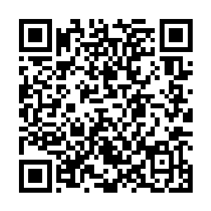 但对于混沌钟等先天灵宝而言却是能够让他们浴火重生二维码生成