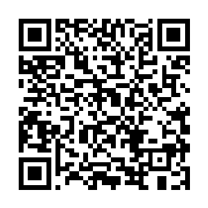 但对于算上老幼也才21个成员的格拉克罗多人而言二维码生成