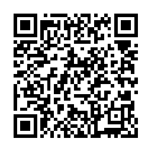 但对于这个外表简直比自己孙子还年轻的老前辈二维码生成