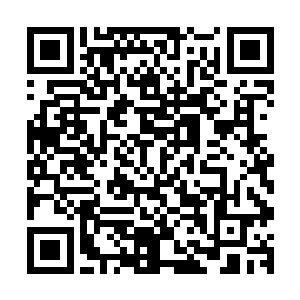 但对于这个能弄到枪械的幕后敌人来说应该没什么太大的区别二维码生成