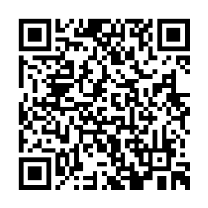 但对于这种对廉耻以及脸皮早就没了概念的女人二维码生成