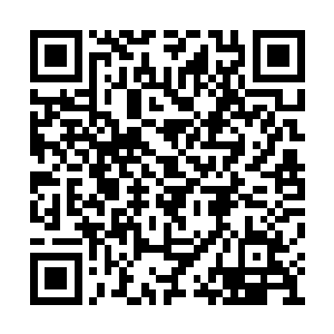 但对于那个喜欢流鼻涕的小狗子却还有点印象的二维码生成