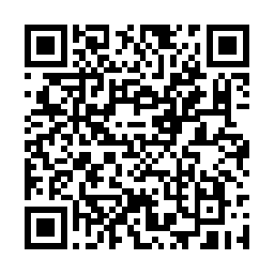 但对于高级术士的情绪化压制效果还是比较明显的二维码生成