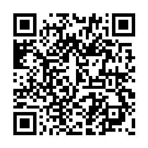 但对方却是在着自己所在的别墅周围来回的闲逛二维码生成