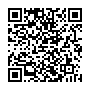 但对白兰这样目标是棉花糖的人来说这定律并没有什么卵用二维码生成