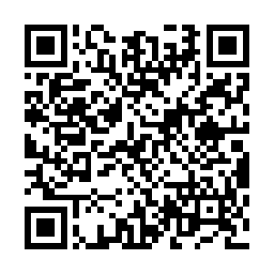但就像他初入京都那时节经常表现出对修行界的常识很无知二维码生成
