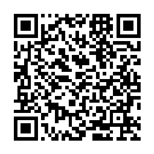 但就掌法精妙而言要比苏琦莲此前演练的一套掌法好得多二维码生成