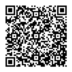 但就是这么一只小蝼蚁 成长得却是如此之快 甚至到了让他们都为之惊讶的地步二维码生成