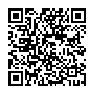 但就算是到了现在也没有看见丁羽表现出来什么兴趣二维码生成