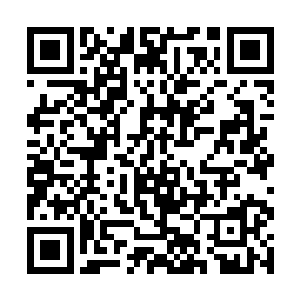 但就算是这样卫斯理还是把眼镜给放置到了盒子当中二维码生成