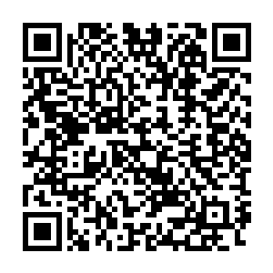 但崇尚自然的大德鲁伊们自然知道神灵降世对自然是多么可怕的破坏二维码生成