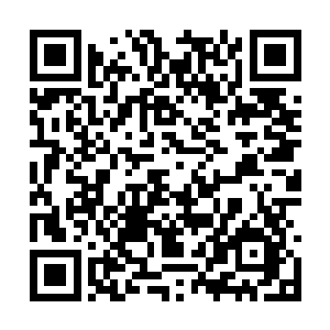 但师傅却以一己之力对内维持着青阳洞的日常运作二维码生成