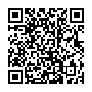 但年少气盛的他一定要亲眼看到那什么张小宝一个奖都拿不到二维码生成