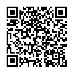 但并不相信他们能够战胜一招便将幽冥道尊打成重伤的敌人二维码生成