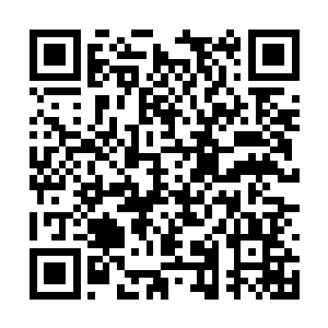 但并非倾巢出动的它们在实力对比上反倒略占劣势二维码生成