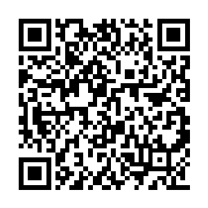 但幸运地随着雾乡部分大地一起坠落到海崖古地二维码生成