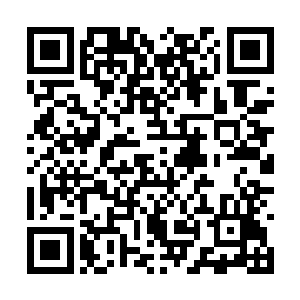 但库克说这些公司看起来更像是来明察暗访摸底的二维码生成