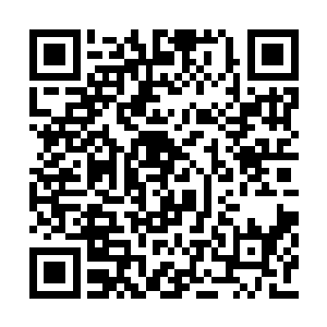 但张卫东依旧没在李兴隆身上感觉到元气的波动二维码生成