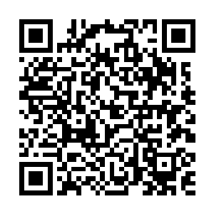 但张潇晗一个飞升修士还会老老实实地等在让你报复二维码生成