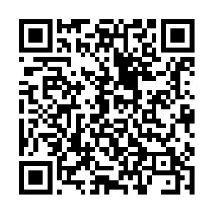 但张远河每年还是会抽出一两次时间去郝家看望一下二维码生成
