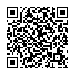 但张铁还是把那个瞬间击杀两个黑袍神将的念头给放下了二维码生成