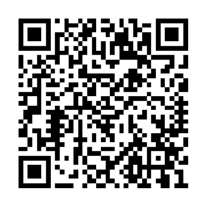 但当年他离开羿界域时本就是为了寻找回家的路二维码生成