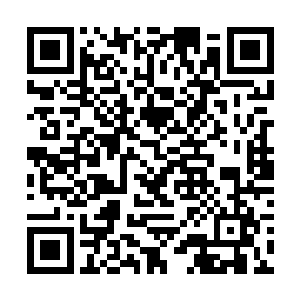 但当年唐劫体修层次始终只保持在仙灵之体的层次上二维码生成