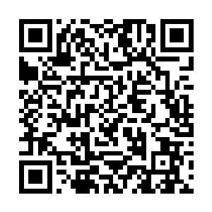 但当面对洪七公这条纯粹由仙力罡气组成的金色巨龙二维码生成