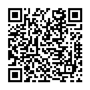 但往往一开口就会下意识的说出一些失忆之前的事二维码生成