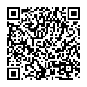 但往日在铁龙宗山门外排着的数千米长的想要成为铁龙宗弟子的队伍二维码生成