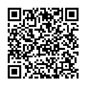 但很快就被奋勇扑上的孙家军将士引兵乱刀砍死二维码生成