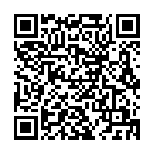 但很快这水上就开始开出了一朵朵如同水盆一样的花儿二维码生成