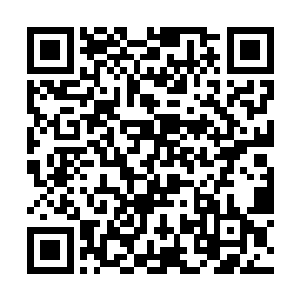 但很明显这里面摩根方面故意的成分可能会居多一些二维码生成