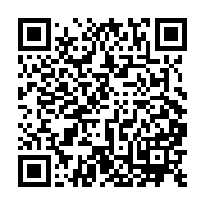 但很有观察力的人可能还是会注意到尺寸样式是相同的二维码生成