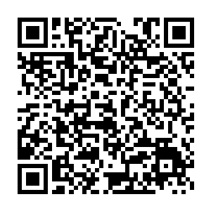 但心中也清楚这只玄黄兽定然是守护在人元果和紫极灵竹旁边的守护兽二维码生成