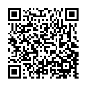 但快乐人家的人一定会把冯小鱼最后和韩月瑶一起喝酒的事二维码生成