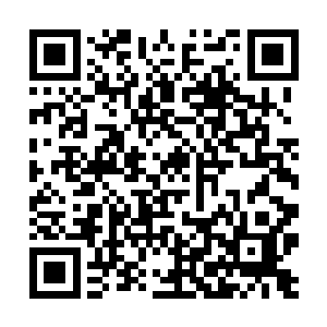 但想到在游泳池里……沈篱就觉得脸好像烧起来一般二维码生成