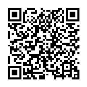 但想想之前方才的速度和龙船紧贴海面飞行的声势二维码生成