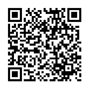 但感知上还是能感觉到已经明显不同的环境气息二维码生成