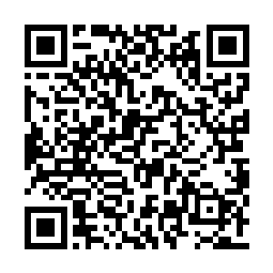 但愿巨龙庞大的体型之内是风凌子的元神和神识二维码生成