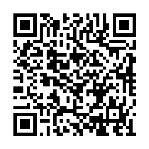 但我个人认为杜克失手的几率不会超过百分之十二维码生成