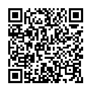 但我也知道你不是那种随随便便就打退堂鼓的人二维码生成