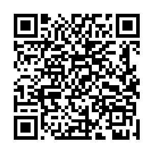 但我从来就没有眼睁睁的看着你们用吸血怪杀死我的子民二维码生成