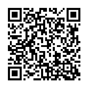 但我从没见过别人的梦能像你这么精彩和刺激的二维码生成