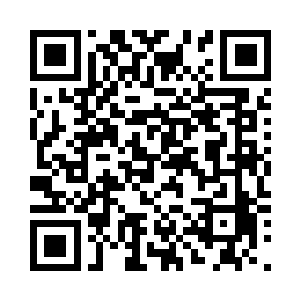 但我们不能把命运全部交到她的手上二维码生成