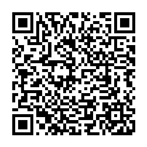 但我们也希望将远古神族的修炼方法和远古神族的文化由我们的后人传承下去二维码生成