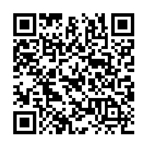 但我们在南非已经建成了一个颇具雏形的情报网络二维码生成