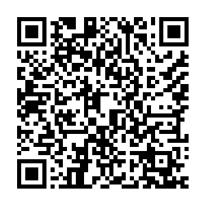 但我们的族民也会为了共同对抗中心省以及报答你的恩情而做出忍让的二维码生成